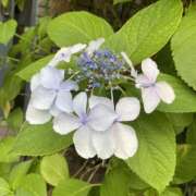 ヒメ日記 2025/07/09 21:39 投稿 まりん スピードエコ日本橋店