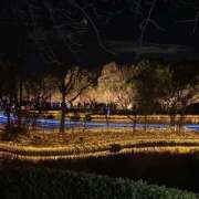 ヒメ日記 2025/07/14 22:49 投稿 まりん スピードエコ日本橋店