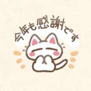 ヒメ日記 2025/12/31 12:23 投稿 まりん スピードエコ日本橋店