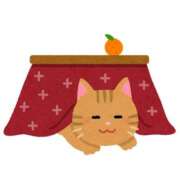 ヒメ日記 2024/12/31 12:05 投稿 茅森 さや アリス女学院 日本橋校