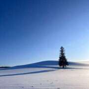 ヒメ日記 2025/02/23 13:11 投稿 茅森 さや アリス女学院 日本橋校