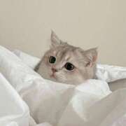 ヒメ日記 2025/03/24 22:10 投稿 茅森 さや アリス女学院 日本橋校