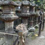 ヒメ日記 2025/03/26 14:26 投稿 茅森 さや アリス女学院 日本橋校