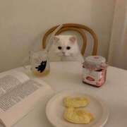 ヒメ日記 2025/04/04 21:41 投稿 茅森 さや アリス女学院 日本橋校