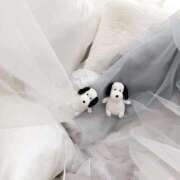 ヒメ日記 2025/04/06 13:16 投稿 茅森 さや アリス女学院 日本橋校