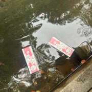 ヒメ日記 2025/04/26 21:47 投稿 茅森 さや アリス女学院 日本橋校