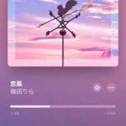 ヒメ日記 2025/04/29 19:00 投稿 茅森 さや アリス女学院 日本橋校