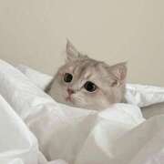 ヒメ日記 2025/05/05 13:24 投稿 茅森 さや アリス女学院 日本橋校