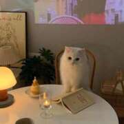 ヒメ日記 2025/05/31 21:44 投稿 茅森 さや アリス女学院 日本橋校