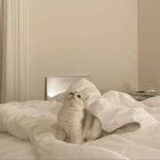 ヒメ日記 2025/06/01 13:44 投稿 茅森 さや アリス女学院 日本橋校