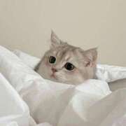 ヒメ日記 2025/06/02 14:26 投稿 茅森 さや アリス女学院 日本橋校