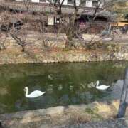 ヒメ日記 2026/03/18 16:21 投稿 茅森 さや アリス女学院 日本橋校