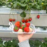 ヒメ日記 2026/04/07 17:19 投稿 茅森 さや アリス女学院 日本橋校