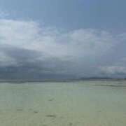 ヒメ日記 2026/04/18 15:07 投稿 茅森 さや アリス女学院 日本橋校