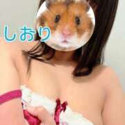 ヒメ日記 2025/03/21 12:08 投稿 しおり 不倫体験 名古屋店