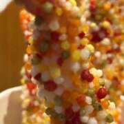 ヒメ日記 2025/04/01 16:33 投稿 しおり 不倫体験 名古屋店