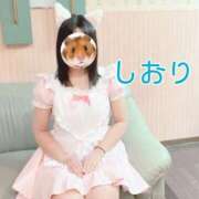 ヒメ日記 2025/04/04 21:08 投稿 しおり 不倫体験 名古屋店