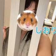 ヒメ日記 2025/05/22 21:22 投稿 しおり 不倫体験 名古屋店