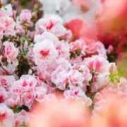 ヒメ日記 2026/02/23 23:02 投稿 しおり 不倫体験 名古屋店