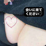 ヒメ日記 2025/01/14 15:25 投稿 ゆあ 蒼いうさぎ