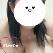 ヒメ日記 2025/02/11 19:02 投稿 ゆあ 蒼いうさぎ