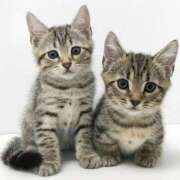 ヒメ日記 2025/04/02 11:56 投稿 ゆず クリスタル