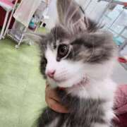 ヒメ日記 2026/02/16 18:36 投稿 ゆず クリスタル