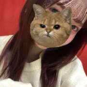 ヒメ日記 2024/12/27 09:45 投稿 めぐみ☆高スペックJK！本日体験 JKサークル