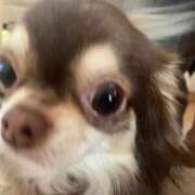 ヒメ日記 2026/01/11 22:33 投稿 めぐみ☆高スペックJK！本日体験 JKサークル