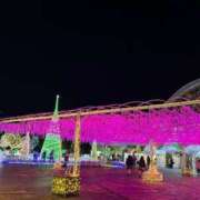 ヒメ日記 2024/12/26 11:08 投稿 りんか マドンナSANSAIN