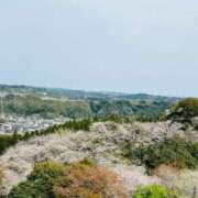 ヒメ日記 2025/04/06 11:15 投稿 りんか マドンナSANSAIN