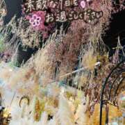 ヒメ日記 2025/06/06 19:48 投稿 りんか マドンナSANSAIN