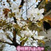 ヒメ日記 2025/06/13 18:28 投稿 りんか マドンナSANSAIN