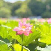 ヒメ日記 2025/09/01 17:48 投稿 りんか マドンナSANSAIN