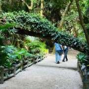 ヒメ日記 2025/10/19 09:58 投稿 りんか マドンナSANSAIN