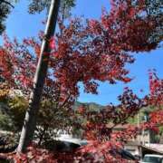 りんか 11時半～の本指名様へ☆ マドンナSANSAIN