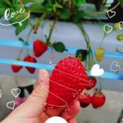 ヒメ日記 2025/05/29 07:25 投稿 杉原 まみ 神戸RED DRAGON