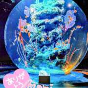 ヒメ日記 2025/06/24 16:13 投稿 杉原 まみ 神戸RED DRAGON