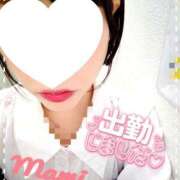 ヒメ日記 2026/02/10 12:47 投稿 杉原 まみ 神戸RED DRAGON