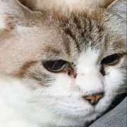 ヒメ日記 2025/12/22 17:05 投稿 初雪 なるみ 妻の友人