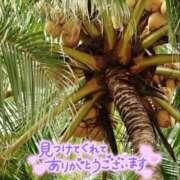 ヒメ日記 2025/12/28 06:15 投稿 初雪 なるみ 妻の友人