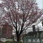 ヒメ日記 2026/03/23 10:15 投稿 初雪 なるみ 妻の友人