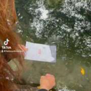 ヒメ日記 2026/03/27 12:21 投稿 初雪 なるみ 妻の友人