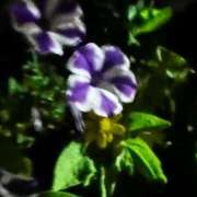 ヒメ日記 2025/09/04 23:36 投稿 有田 熟女の風俗最終章 新横浜店