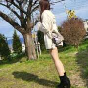 ヒメ日記 2025/04/27 04:33 投稿 ☆ひまり☆ 100％本人が来る店！！デリヘル『ロイヤルフラッシュ』