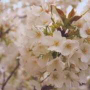 ヒメ日記 2025/04/14 20:00 投稿 るい 奥鉄オクテツ大阪