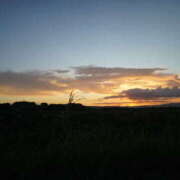 ヒメ日記 2025/07/26 21:40 投稿 るい 奥鉄オクテツ大阪