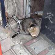 ヒメ日記 2025/09/21 16:50 投稿 るい 奥鉄オクテツ大阪