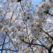 ヒメ日記 2025/04/06 19:07 投稿 あきら カワサキ EROTIC