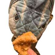 ヒメ日記 2025/04/29 16:01 投稿 あきら カワサキ EROTIC